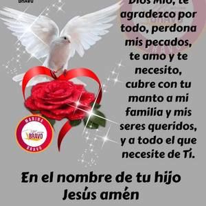 Meet your Posher, Betty